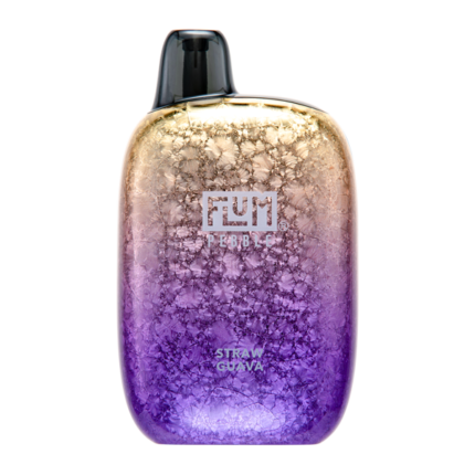 Black Icy Flum Pebble X - 14ml, 6000 Puff| Best Flum Pebbles